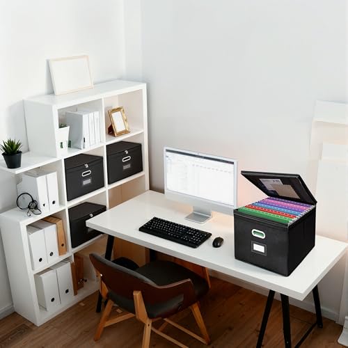 4 Pack File Organizer Boxes with Lids, Collapsible Document Storage Bin with Mesh Pockets & Zipper, Fits Letter/Legal Size Folders for Home Office Moving Classroom Organization (Black, No Folders)