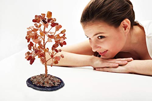 Mina Heal Crystal Gem Money Tree for Chakra Healing Feng Shui Meditation Good Luck Wealth & Prosperity - color: Agate(orange)