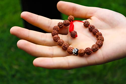 Hands of Tibet Tibetan Mala Rudraksha Seed Wrist Mala Bracelet with Carved Om Mani Conch Shell Spacer Free Silk Pouch