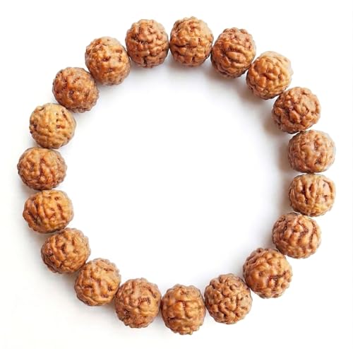 Rudraksha Bracelet for Men & Women's 2 Face, 3 Mukhi, 4 Mukhi, 5 Face, 6 Mukhi, 7 Mukhi, 8 Mukhi, 9 Mukhi, 10 Mukhi, 11 Mukhi Himalayan Rudraksha Beads Wrist Band for Yoga, Meditation, Healing - style: 6 Mukhi - Six Faced