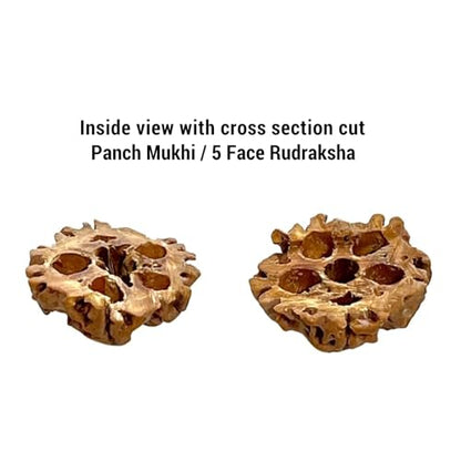 Authentic 5 Mukhi Rudraksha Mala - 108 Beads Spiritual Necklace with Tree of Life Pendant (11mm) - Yoga Meditation Jewelry for Men & Women - All-Natural Beads Chemical-Free Gift Box（style C）