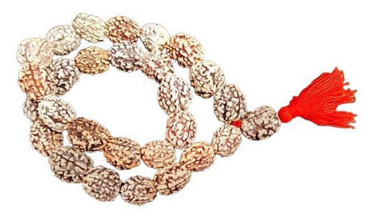 Rudraksh Mala, Natural Himalayan Genuine Original Rudraksha Rosary - style: 3 FaceRudraksh mala 34 Beads 15-20mm