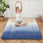 Zelladorra Japanese Floor Mattress, Futon Mattress with Portable Storage Bag and Washable Cover, Roll Up Thick Tatami Mat Suitable for Camping, Guest Room (Coastal Gradient, Twin)