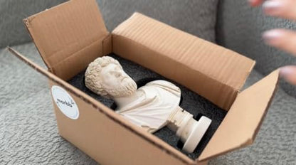 Marcus Aurelius Bust - Elegant Marble Statue for Home Decor and Philosophy Book Collections | Inspirational for Stoicism and Meditations