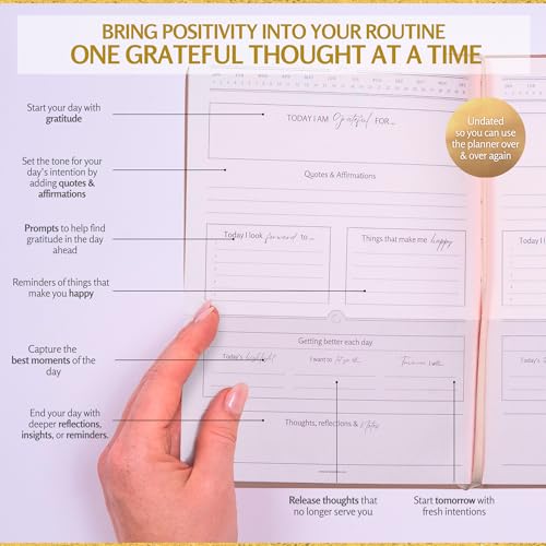 Gratitude Journal – Daily Mindfulness & Wellness Notebook with Premium Leather Cover, Guided Prompts, 170gsm No-Bleed Paper, Gold Foil, Satin Bookmark & Luxury Gift Box for Women & Men (Nude)
