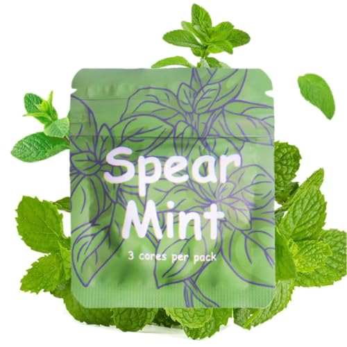 LAMKHOO Breathing Necklace to Quit Smoking and Vaping with Refillable Mint Pods Stop Smoking Aids Fidget Necklace for Anxiety Relief Smokeless Inhaler for Adults (spear mint*1) - color: Mint