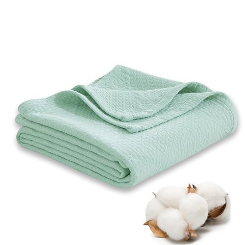 Premium 100% Cotton Blanket – All-Season Soft Breathable Bed Blanket for Twin Size – Lightweight Stylish Textured Throw for Bed– Giftable Cozy Bedding - color: Light Green, size: Twin(60" x 80")