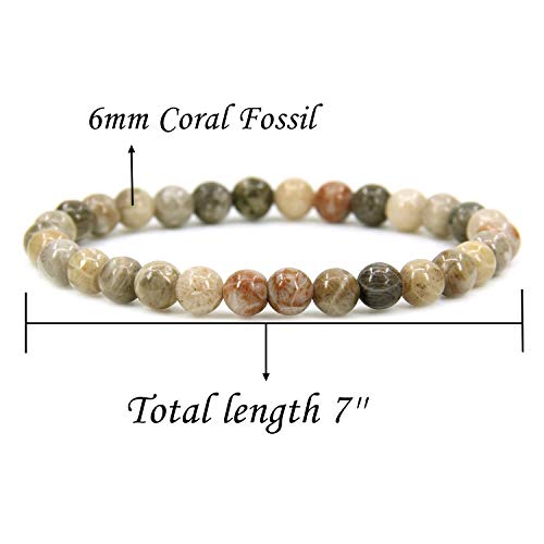 Angelstones Handmade Natural Healing Gemstone 6mm Round Beads Stretch Crystal Bracelet 7 Inch Unisex - color: Coral Fossil