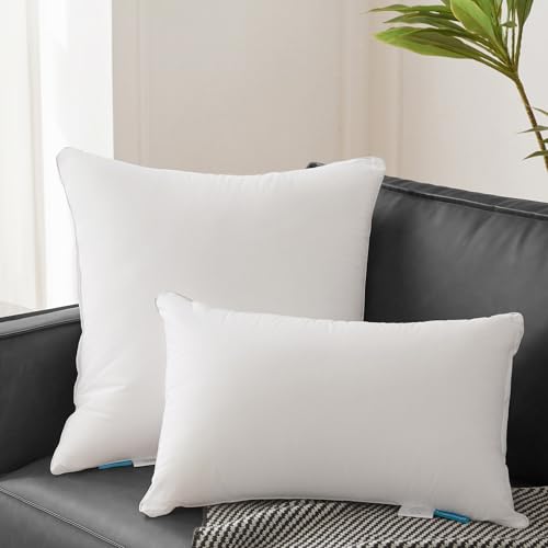 Oubonun 26 x 26 Pillow Inserts - Set of 2 - 100% Cotton Cover - 26 Inch Square - Decorative Pillow Inserts - White - style: 26x26 Inch (Pack of 2)