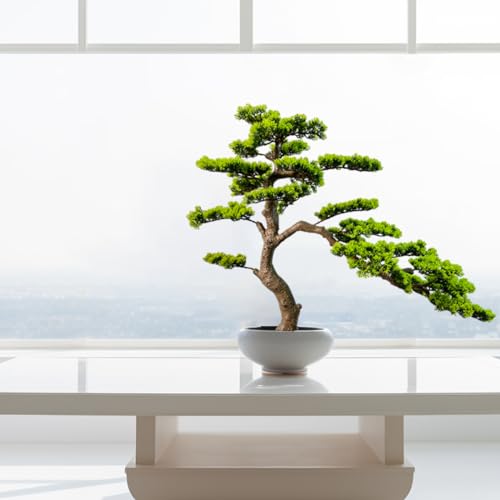 3ft（36in） Artificial Bonsai Tree Juniper Faux Plants Indoor Big Fake Plants Decor with Ceramic Pots for Home Table Office Desk Shelf Bedroom Living Room Decorations (Green)