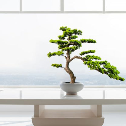 3ft（36in） Artificial Bonsai Tree Juniper Faux Plants Indoor Big Fake Plants Decor with Ceramic Pots for Home Table Office Desk Shelf Bedroom Living Room Decorations (Green)