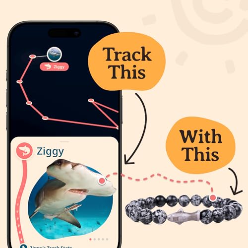 Fahlo Shark Tracking Bracelet – Track a Real Shark's Journey – Supports Wildlife Conservation – Elastic – on Interactive Mobile App Map – Unisex Ocean Conservation Gift - color: Lava Stone