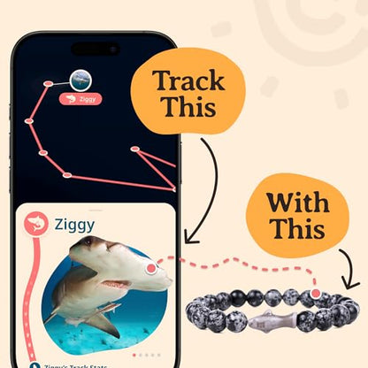 Fahlo Shark Tracking Bracelet – Track a Real Shark's Journey – Supports Wildlife Conservation – Elastic – on Interactive Mobile App Map – Unisex Ocean Conservation Gift - color: Lava Stone