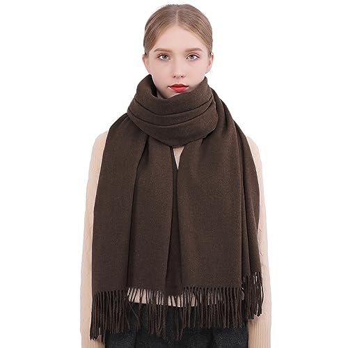 RIIQIICHY Winter Scarfs for Women Pashmina Shawls Wraps for Evening Dresses Large Warm Soft Scarves - color: Coffee