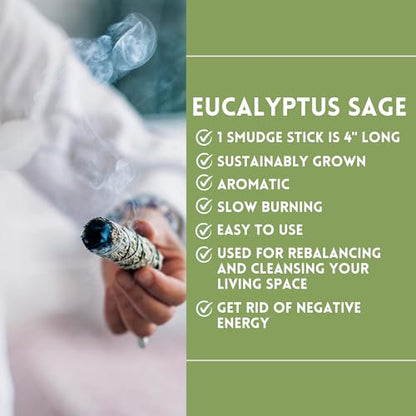 Ancient VEDA Healer's Kit: Complete Sage Smudge Kit Bundle w/Abalone Shell, Palo Santo, Sweetgrass, Turkey Feather & Guidebook – Spiritual and Energy Cleansing, Ritual Supplies, Smudging Essentials - color: Eucalyptus Sage, size: Healer's Kit