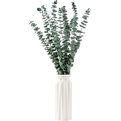 10 Pcs Dried Eucalyptus Stems 17" Real Eucalyptus for Shower Hanging 100% Made from Fresh Leaves, Wedding, Home, Farmhouse, DIY Spring Decor Bathroom Decor Home Decor - size: 10 Pcs Eucalyptus