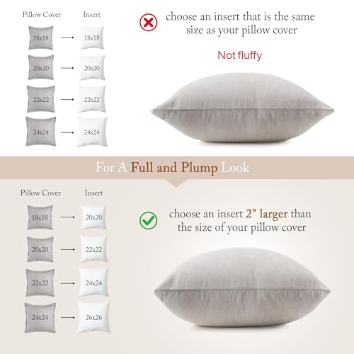 puredown® Lumbar Pillow Inserts 12 x 20 (Pack of 2, White), Filled with Feather and Down, Decorative Pillows for Couch, Home Decor - size: 12x20 Inch