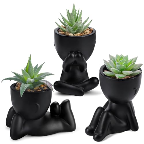 Der Rose 3pcs Fake Succulents Plants Artificial Graduation Gifts for Women Black Bathroom Bedroom Home Living Room Halloween Decor Aesthetic Indoor - color: Black