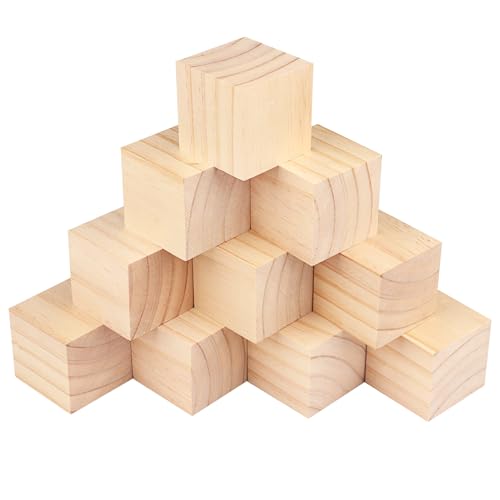 GNIEMCKIN 10 Packs Wooden Blocks for Crafts, 3.15 Inch Pine Wood Cubes, Wooden Cubes for Paint, Stamp, Decorate, DIY Projects and Personalized Gifts - size: 10 Packs 3.15 Inch