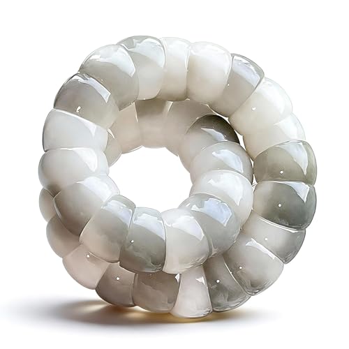 72ore Bodhi Bracelet Fidget Bracelet for Women Natural Bodhi Seed Bracelets Stretch Protection Healing Jewelry Anxiety Relief Items - color: A6:bodhi bracelet