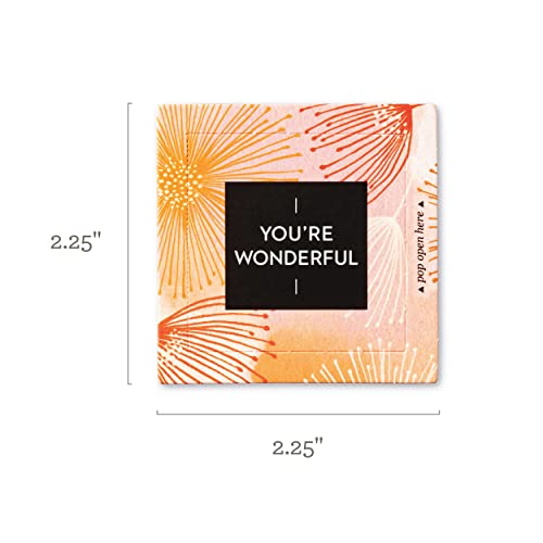 Compendium ThoughtFulls Pop-Open Cards — 2-Pack of Love and You're Wonderful — 60 Pop-Open Cards, Each with a Different Message Inside - color: Love, You're Wonderful