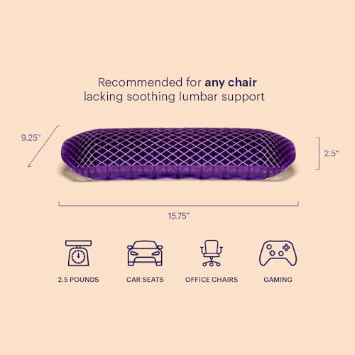 Purple Back Cushion | Pressure Reducing Grid Designed for Ultimate Comfort | Designed for Chairs, Gaming, and Travel | Made in The USA - size: Back