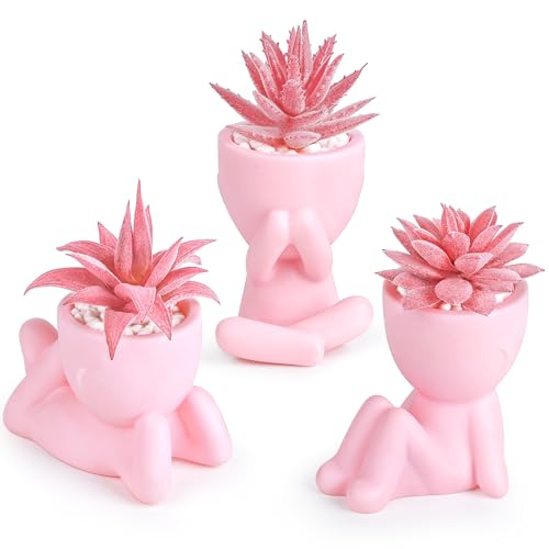 Der Rose Pink Artificial Succulents Plants Set of 3 Fake Artificial Plants Office Desk Accessories for Pink Room Bathroom Shelf Decor - color: Pink-pink Pot