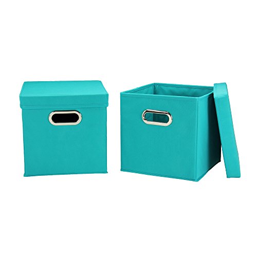 Household Essentials 36-1 Decorative Storage Cube Set with Removable Lids | Aqua | 2-Pack - color: Turquoise