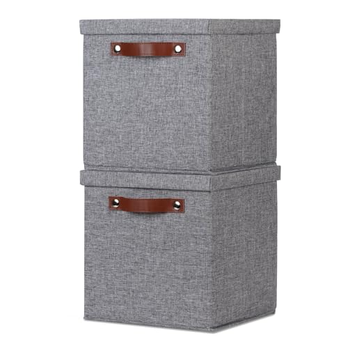 Temary Foldable Fabric Storage Bins with Lids, 2-Pack Storage Bin for Organizing Living Room, Closet Organization, Multi-Purpose Storage Boxes for Clothes (Grey, 10.5x10.5x10.5 inch) - color: A-Gray, size: 10.5×10.5×10.5