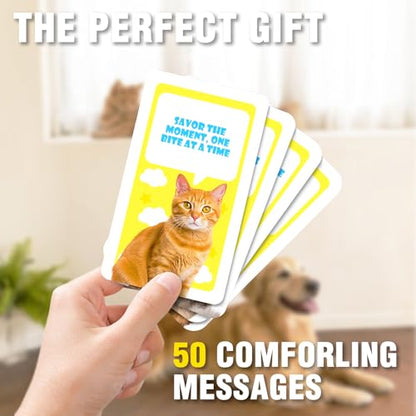 Cards Against Anxiety, 50 Cat Affirmation Cards for Stress Relief and Self Care Mindfulness - color: Cats
