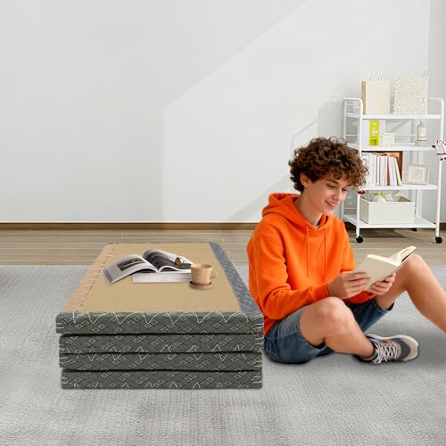 LYNICESHOP Japanese Traditional Tatami Mattress Foldable Floor Mattress, 100% Natural Coconut Fiber Futon Meditation Mat for Yoga, Non-Slip Foldable Sofa Bed, 200x100x5cm (Blue)