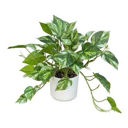 Artificial Plants Faux Pothos with Plastic White Pot Artificial Potted Plant for Home Office Bedroom Indoor Outdoor Decor 1 Pack(Light Green)