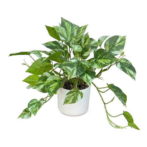 Artificial Plants Faux Pothos with Plastic White Pot Artificial Potted Plant for Home Office Bedroom Indoor Outdoor Decor 1 Pack(Light Green)
