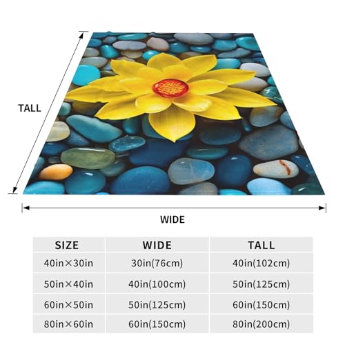 Zen Blanket Anti Pilling Throw Yoga Spa Meditation Spiritual Fleece Flannel Lightweight Cozy Bedspread Living Room Women Adults and Kids Bed Sofa 60"X50" - color: Zen1
