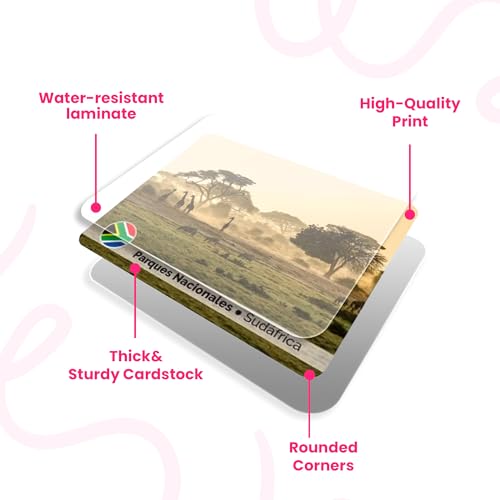 Menique Explore the World Memory Matching Game – 100 Cards (50 Pairs) with Famous Landmarks from 50 Countries – Includes Flag, Country & Place – Educational Geography Game + Informative Booklet - style: Explore the World
