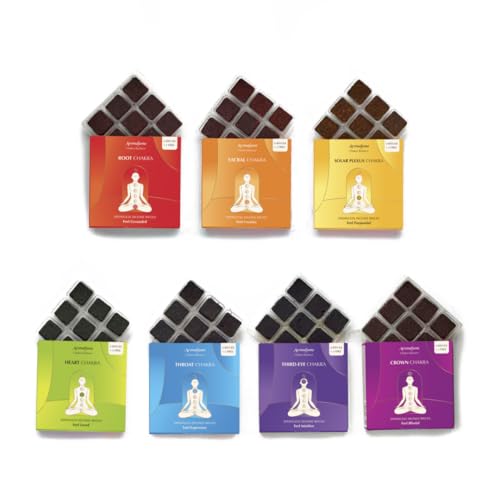 7 Chakra Incense Brick Refill by Aromafume | 7 x 9 Smokeless Aromatic Bricks for Energy Centers | Balance & Meditation Kit | Non-Toxic & Natural | Yoga & Wellness Gift - color: Pack of 7 Assorted Trays