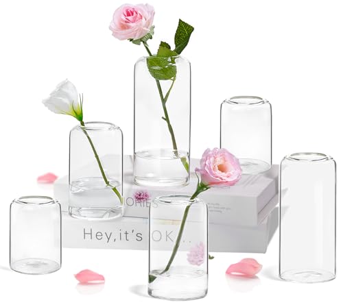 ZENS Bud Vases Set of 6, Modern Small Glasss Vase for Flower Clear Bud Vases in Bulk for Wedding Centerpiece, Blown Thicker Glass Small Vase for Flowers, Wedding Party Decorative, Home Bathroom Decor - color: Transparent, size: 6pcs