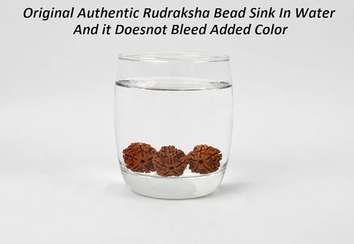 Rudraksh Mala, Natural Himalayan Genuine Original Rudraksha Rosary - style: 3 FaceRudraksh mala 34 Beads 15-20mm