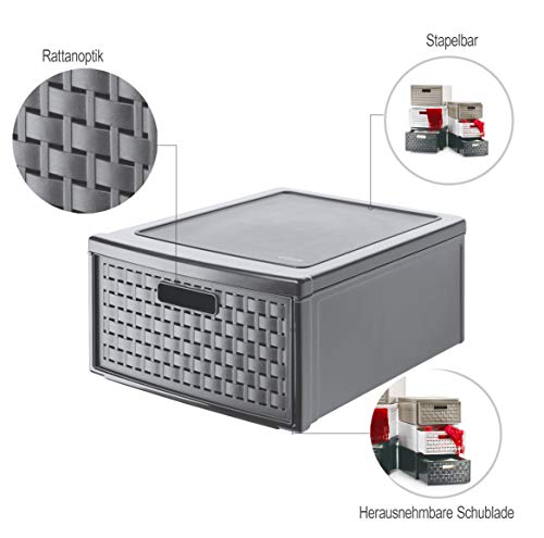 Rotho Country Box 8.3l with 1 Drawer in Rattan-Look, Plastic (PP) BPA-Free, Anthracite, Klein/8,3l (35,0 x 26,0 x 14,5 cm) - size: klein/8,3l (35,0 x 26,0 x 14,5 cm)