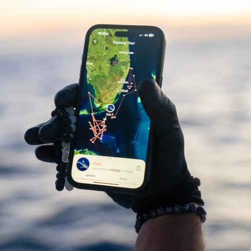 Fahlo Shark Tracking Bracelet – Track a Real Shark's Journey – Supports Wildlife Conservation – Elastic – on Interactive Mobile App Map – Unisex Ocean Conservation Gift - color: Seafoam