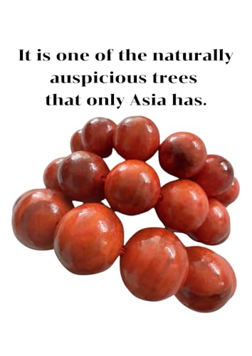Red Sandalwood Beads Bracelet, Handmade Natural wood for gifts, Rare wood for gifts,Mala Prayer Bracelet, Handmade Dragon Bloodwood Rosary Bracelet 16mm