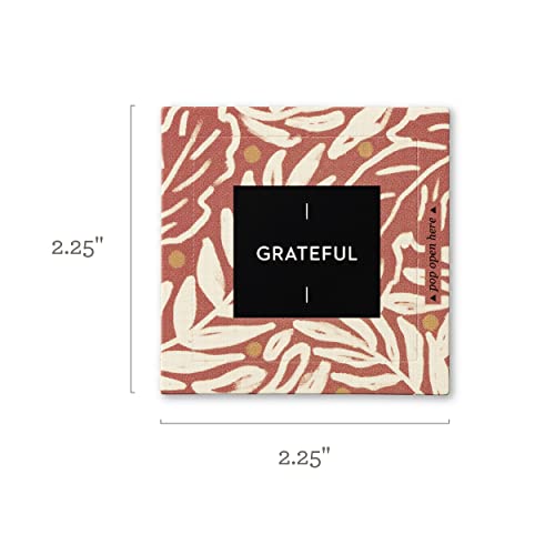Compendium ThoughtFulls Pop-Open Cards — 4-Pack of Grateful, Live with Intention, Mindfulness, Carpe Diem – 120 Pop-Open Cards, Each with a Different Message Inside - color: Grateful, Intention, Mindfulness, Carpe Diem