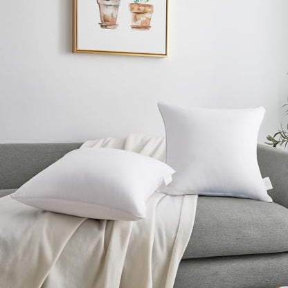 Oubonun 20"x20" Pillow Inserts (Set of 4) - 100% Cotton Cover, Square Throw Pillow Inserts for Couch, Sofa, Bed - Decorative 20 Inch White Pillow Inserts - style: 20x20 Inch (Pack of 4)