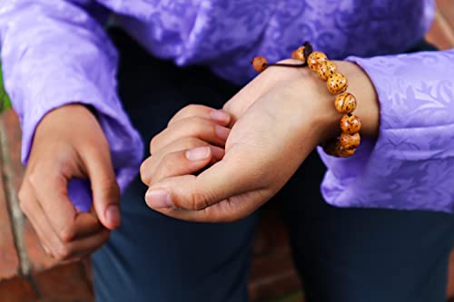 Hands Of Tibet Tibetan Mala Bodhi Seed Wrist Mala Bodhi Seed Beads From Bodh Gaya India BSM-24