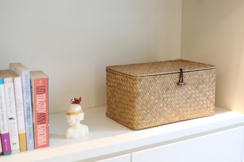 Rectangular Handwoven Seagrass Storage Basket with Lid for Shelves and Home Organizer Bin, (M (12"x7"x6"H), Natural) - size: M (12"x7"x6"H)