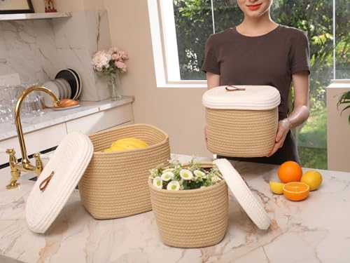 Set of 3 Stylish Rectangular Woven Baskets with Lids - Elegant Storage Solution for Home Decor and Organization, Beige/White Lid