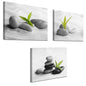 Biuteawal 3 Piece Zen Canvas Wall Art for Bathroom Decor Zen Stone with Green Plant Picture Print Peaceful Still Life Artwork Painting Modern Home Bedroom Meditation Room Spa Room Decoration
