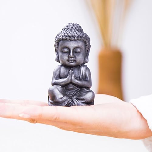 Mini Meditation Buddha Ornament, Solid Cast Iron Figurine, Outdoor Garden Decor Sculpture, Feng Shui Artwork for Home Living Room (Silvery,1)