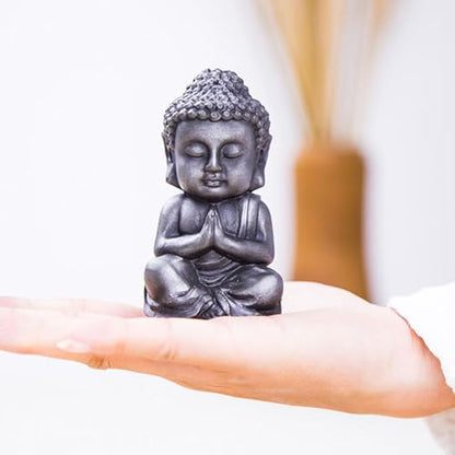 Mini Meditation Buddha Ornament, Solid Cast Iron Figurine, Outdoor Garden Decor Sculpture, Feng Shui Artwork for Home Living Room (Silvery,1)
