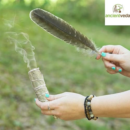 Ancient VEDA Healer's Kit: Complete Sage Smudge Kit Bundle w/Abalone Shell, Palo Santo, Sweetgrass, Turkey Feather & Guidebook – Spiritual and Energy Cleansing, Ritual Supplies, Smudging Essentials - color: Eucalyptus Sage, size: Healer's Kit